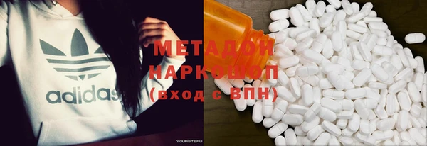 прущие грибы Балабаново