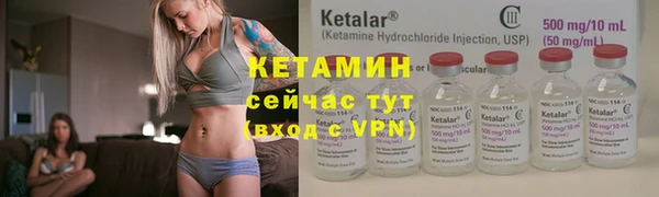 прущие грибы Балабаново