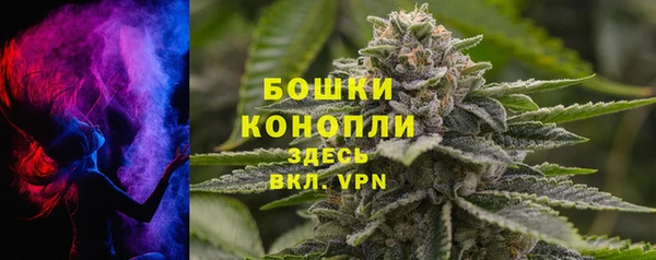 прущие грибы Балабаново